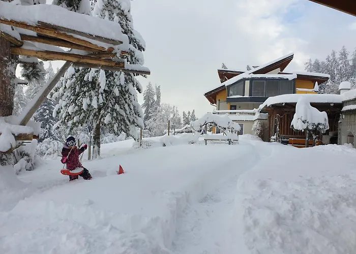 Gaestehaus Falkenblick * ارزل ام بيتزتال