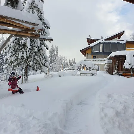 Gaestehaus Falkenblick * Arzl im Pitztal